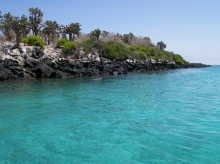 Imagen Isla Santa Fe o Barrington2